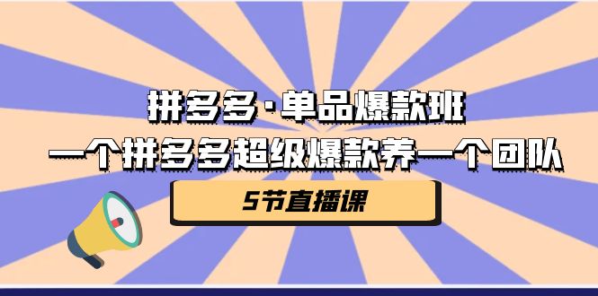 拼多多·单品爆款班，一个拼多多超级爆款养一个团队（5节直播课）-网创资源库