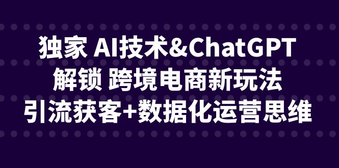 独家 AI技术&ChatGPT解锁 跨境电商新玩法，引流获客+数据化运营思维-网创资源库
