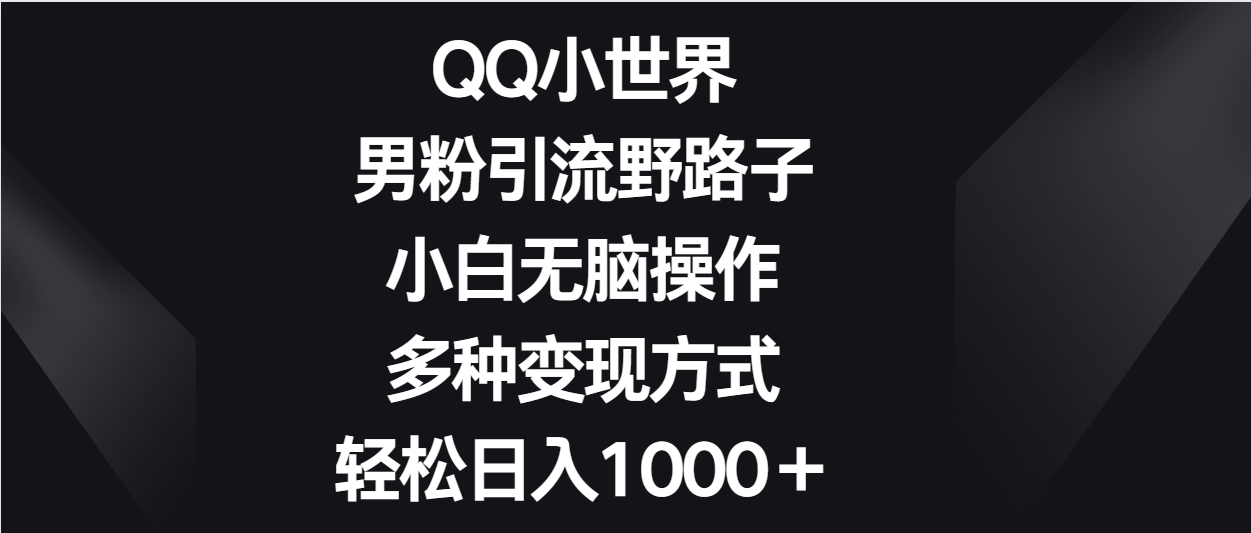 QQ小世界男粉引流野路子，小白无脑操作，多种变现方式轻松日入1000＋-网创资源库