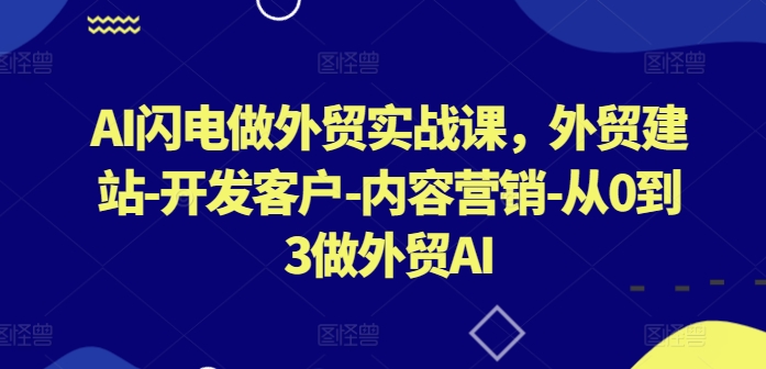 AI闪电做外贸实战课，​外贸建站-开发客户-内容营销-从0到3做外贸AI-网创资源库