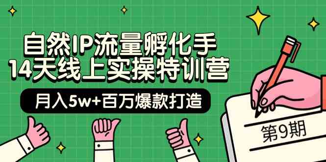 自然IP流量孵化手14天线上实操特训营【第9期】月入5w+百万爆款打造 (74节)-网创资源库