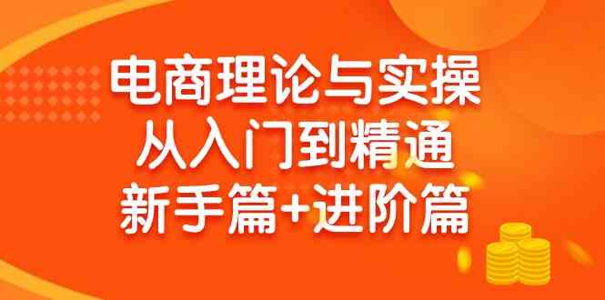 （9576期）电商理论与实操从入门到精通 新手篇+进阶篇-网创资源库