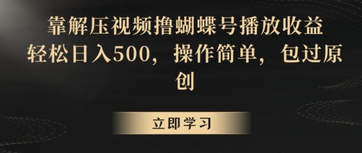 靠解压视频撸蝴蝶号播放收益，轻松日入500，操作简单，包过原创【揭秘】-网创资源库