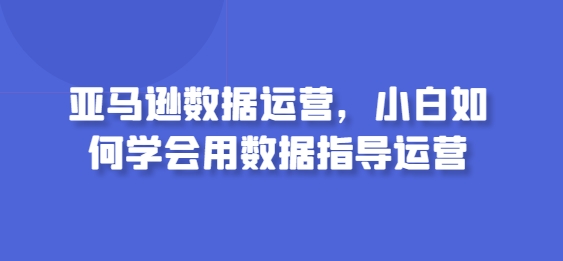 亚马逊数据运营，小白如何学会用数据指导运营-网创资源库