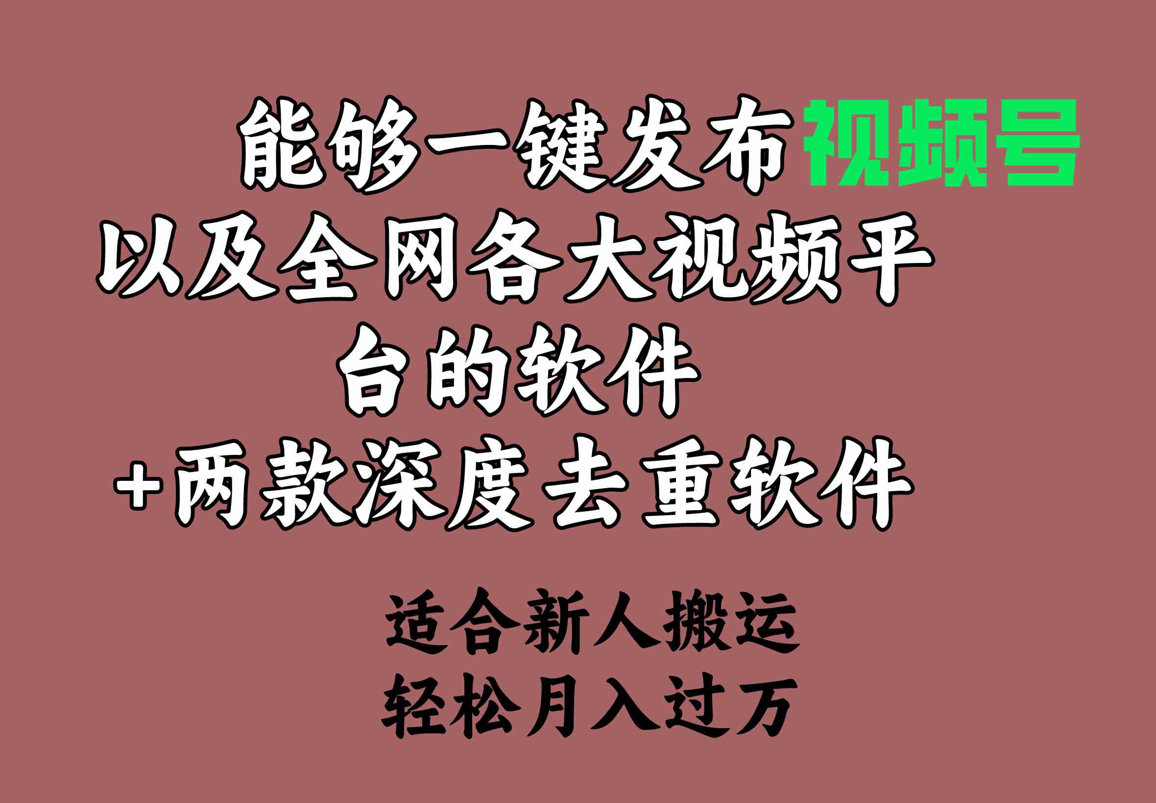 （9319期）能够一键发布视频号以及全网各大视频平台的软件+两款深度去重软件 适合…-网创资源库