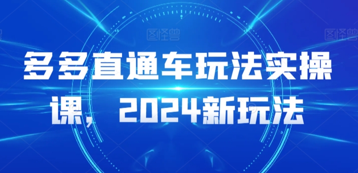 多多直通车玩法实操课，2024新玩法-网创资源库