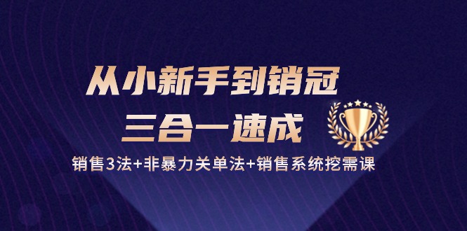 从小新手到销冠三合一速成：销售3法+非暴力关单法+销售系统挖需课 (27节)-网创资源库