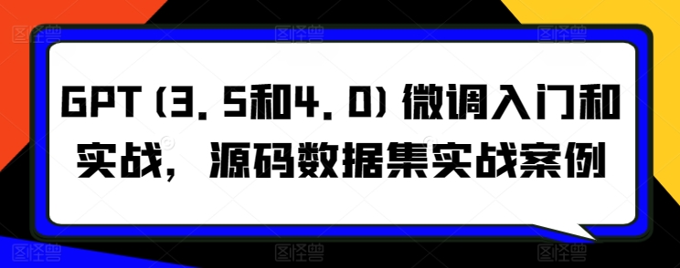 GPT(3.5和4.0)微调入门和实战，源码数据集实战案例-网创资源库