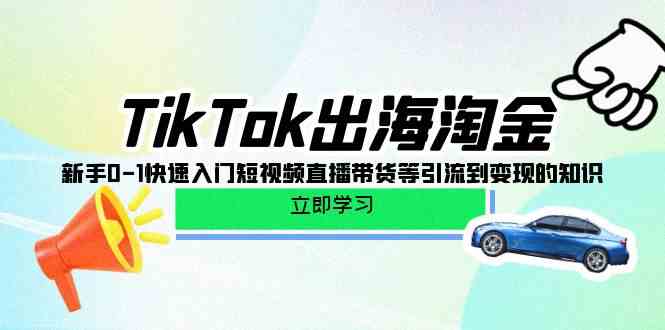 TikTok出海淘金，新手0-1快速入门短视频直播带货等引流到变现的知识-网创资源库