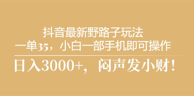 （10766期）抖音最新野路子玩法，一单35，小白一部手机即可操作，，日入3000+，闷…-网创资源库