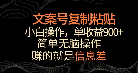 文案号掘金，简单复制粘贴，小白操作，单作品收益900+-网创资源库