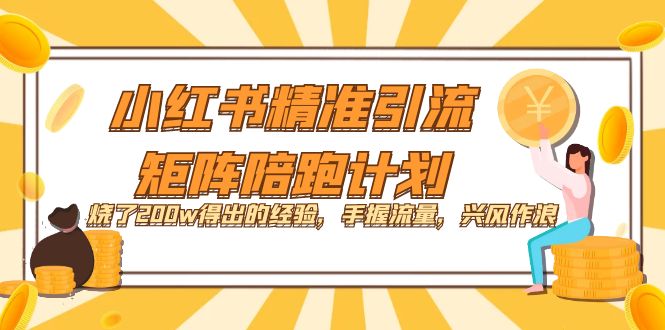 小红书精准引流·矩阵陪跑计划：烧了200w得出的经验，手握流量，兴风作浪！-网创资源库