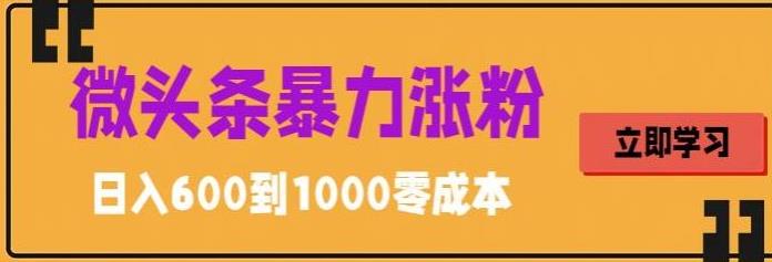 微头条暴力涨粉技巧搬运文案就能涨几万粉丝，简单0成本，日赚600-网创资源库