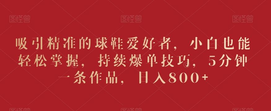 吸引精准的球鞋爱好者，小白也能轻松掌握，持续爆单技巧，5分钟一条作品，日入800+【揭秘】-网创资源库