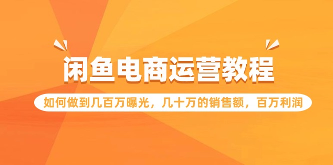 闲鱼电商运营教程：如何做到几百万曝光，几十万的销售额，百万利润-网创资源库