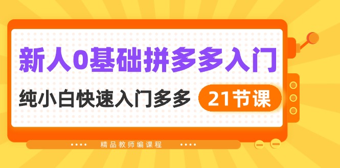 新人0基础拼多多入门，纯小白快速入门多多（21节课）-网创资源库
