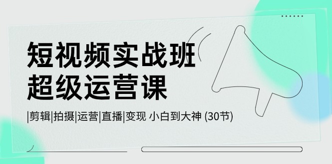 （10836期）短视频实战班-超级运营课，|剪辑|拍摄|运营|直播|变现 小白到大神 (30节)-网创资源库