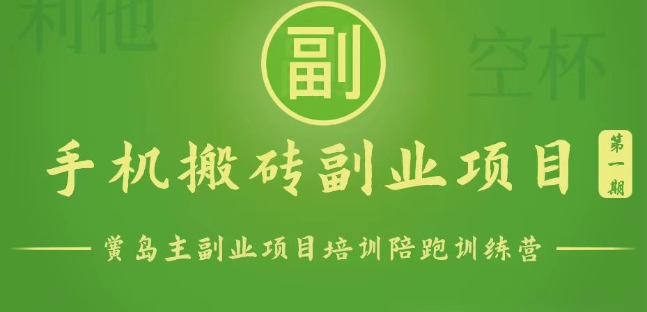 手机搬砖小副业项目训练营1.0，能用手机做的简单小副业-网创资源库