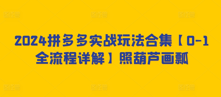 2024拼多多实战玩法合集【0-1全流程详解】照葫芦画瓢-网创资源库