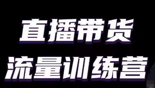 直播带货流量训练营，小白主播必学直播课-网创资源库