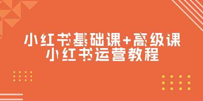 小红书基础课+高级课-小红书运营教程（53节视频课）-网创资源库