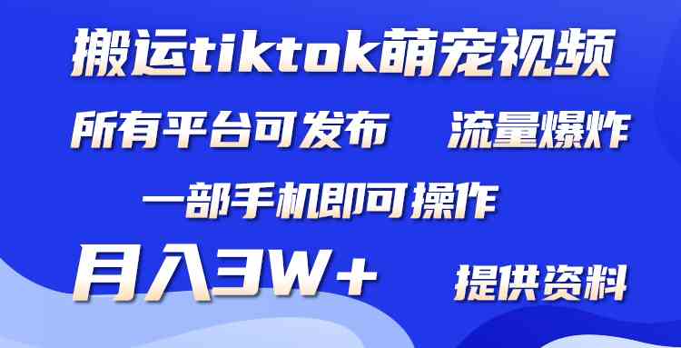 （9618期）搬运Tiktok萌宠类视频，一部手机即可。所有短视频平台均可操作，月入3W+-网创资源库