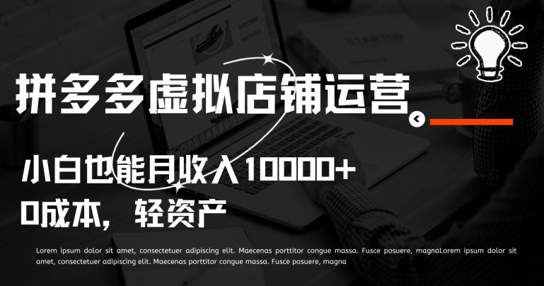 拼多多虚拟店铺运营小白也能月收入10000+-网创资源库