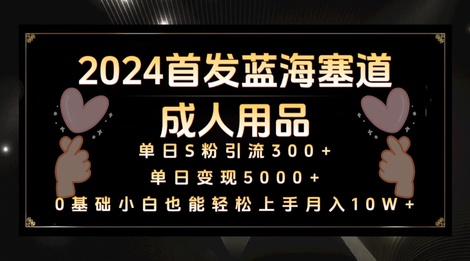 2024首发蓝海塞道成人用品，月入10W+保姆教程-网创资源库