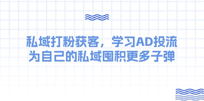 （10728期）某收费课：私域打粉获客，学习AD投流，为自己的私域囤积更多子弹-网创资源库