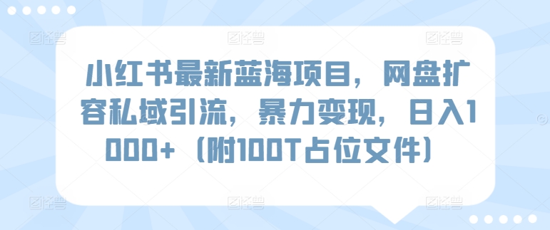 小红书最新蓝海项目，网盘扩容私域引流，暴力变现，日入1000+（附100T占位文件）-网创资源库