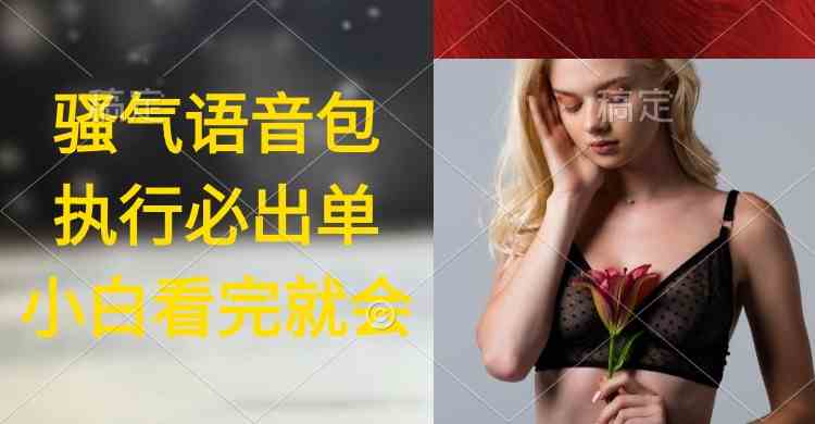 （9589期）执行就出单，日入2000+，超火骚气语音包，小白看完课程就能马上实操-网创资源库