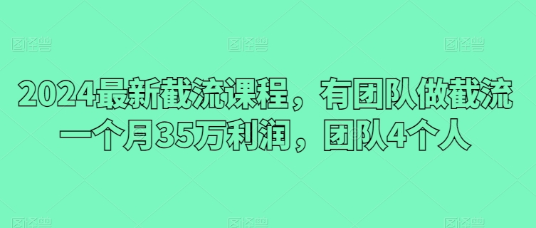 2024最新截流课程，有团队做截流一个月35万利润，团队4个人-网创资源库