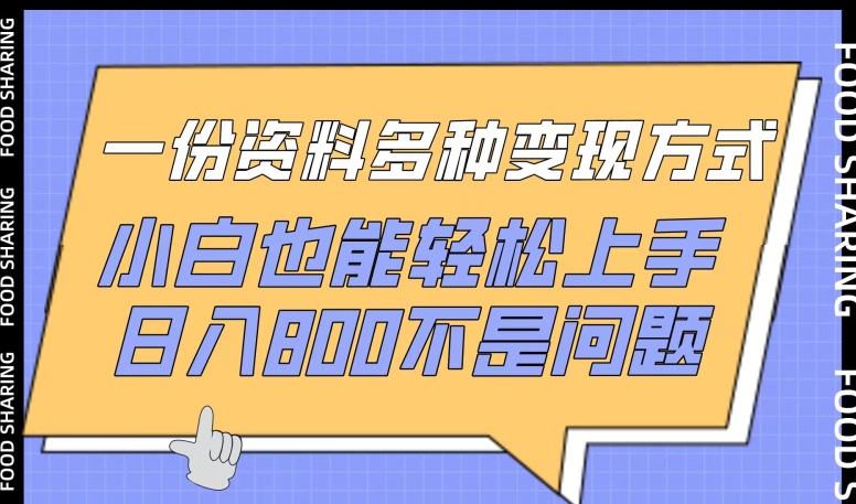一份资料多种变现方式，小白也能轻松上手，日入800不是问题-网创资源库