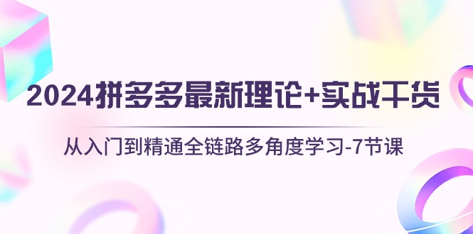 （10816期）2024拼多多 最新理论+实战干货，从入门到精通全链路多角度学习-7节课-网创资源库