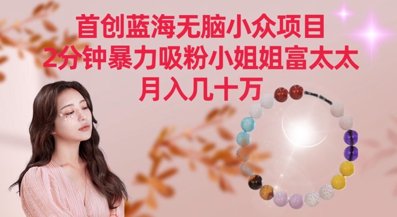 首创蓝海无脑小众项目，2分钟暴力吸粉小姐姐富太太，月入几十万-网创资源库