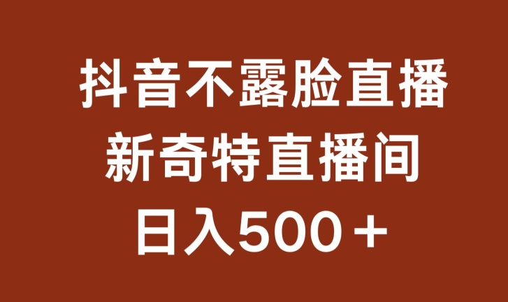 不露脸挂机直播，新奇特直播间，日入500+-网创资源库