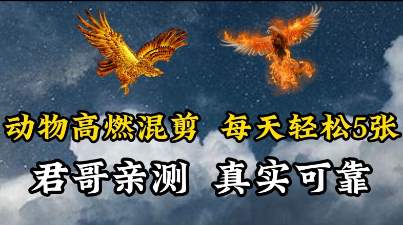 动物超燃混剪，每天轻松5张，剪辑简单大家爱看-网创资源库