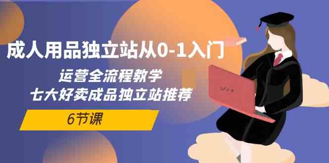 成人用品独立站从0-1入门，运营全流程教学，七大好卖成品独立站推荐（6节课）-网创资源库