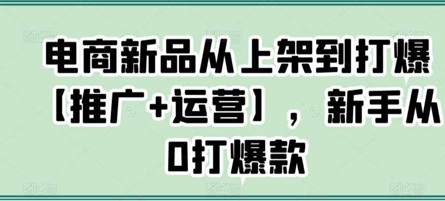 电商新品从上架到打爆【推广+运营】，新手从0打爆款-网创资源库