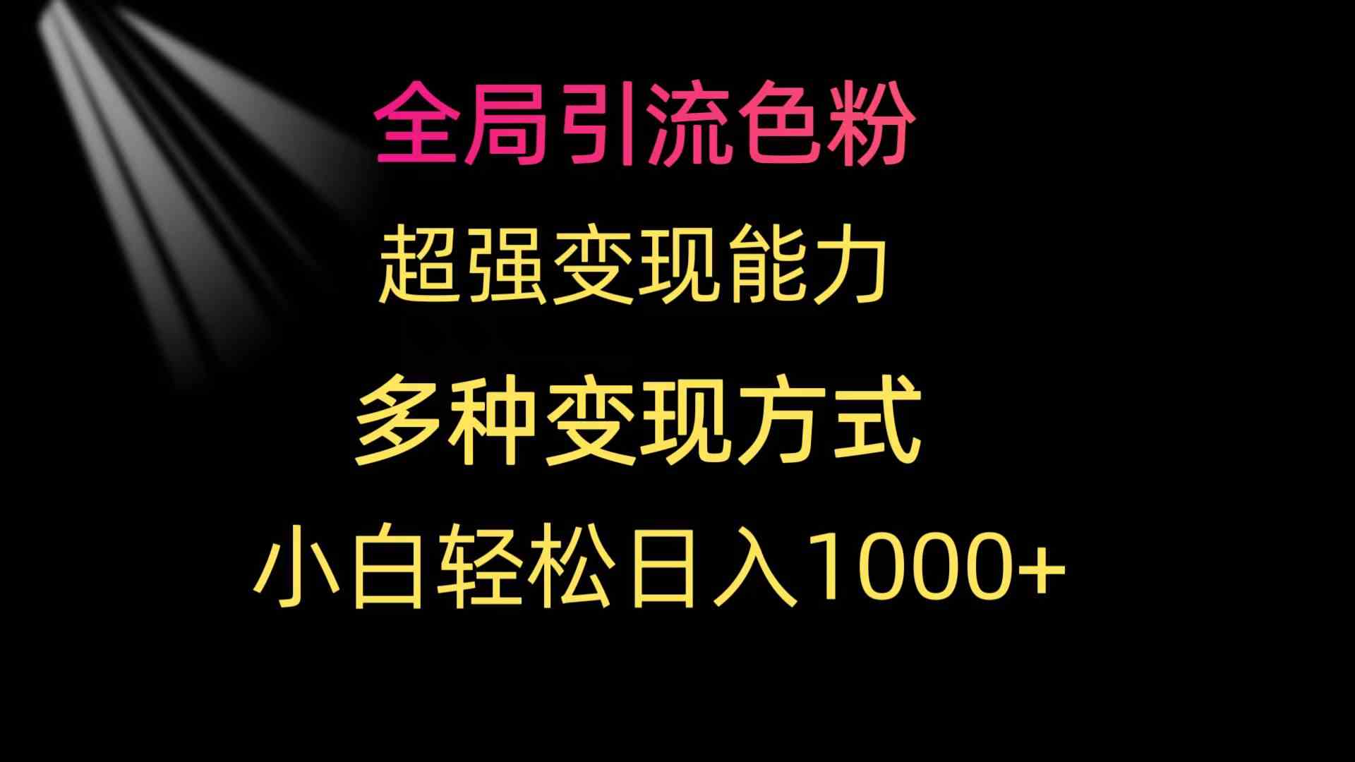 （9680期）全局引流色粉 超强变现能力 多种变现方式 小白轻松日入1000+-网创资源库