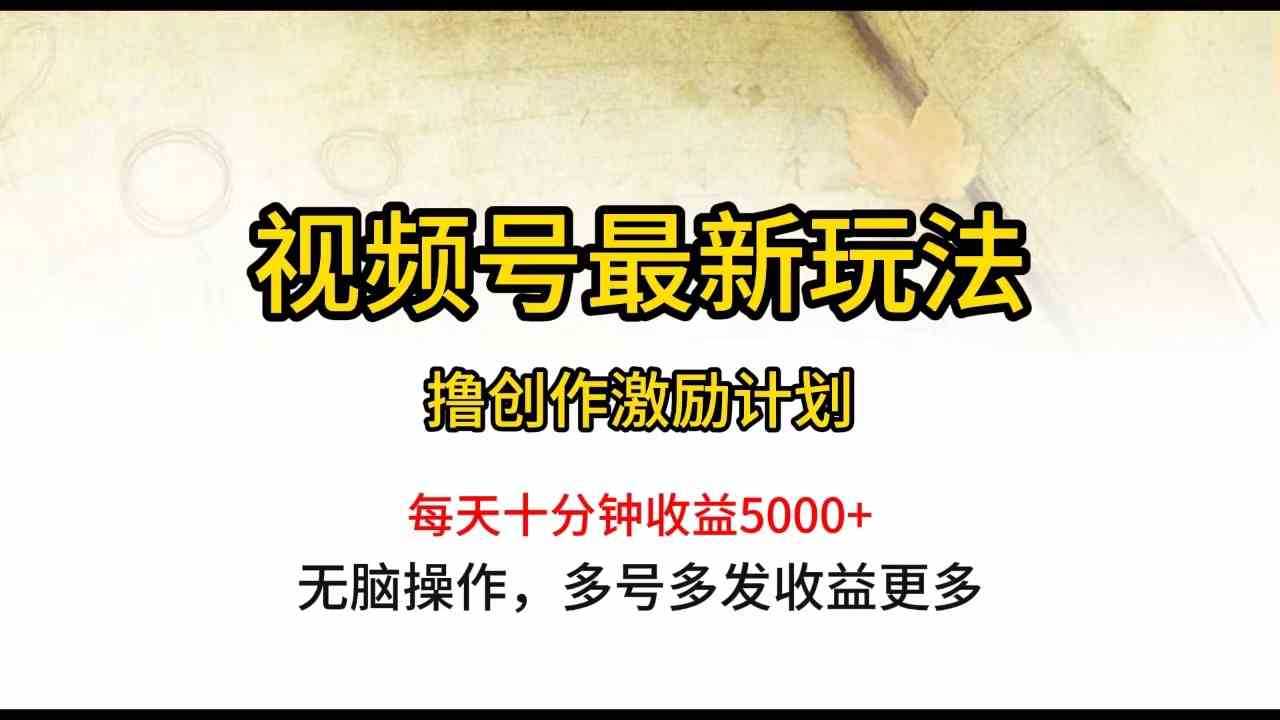 （10087期）视频号最新玩法，每日一小时月入5000+-网创资源库