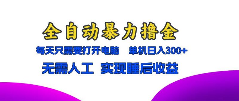 （13186期）全自动暴力撸金，只需要打开电脑，单机日入300+无需人工，实现睡后收益-网创资源库
