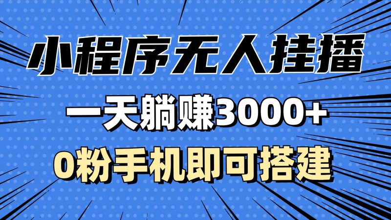 （13209期）抖音小程序无人挂播，一天躺赚3000+，0粉手机可搭建，不违规不限流，小…-网创资源库