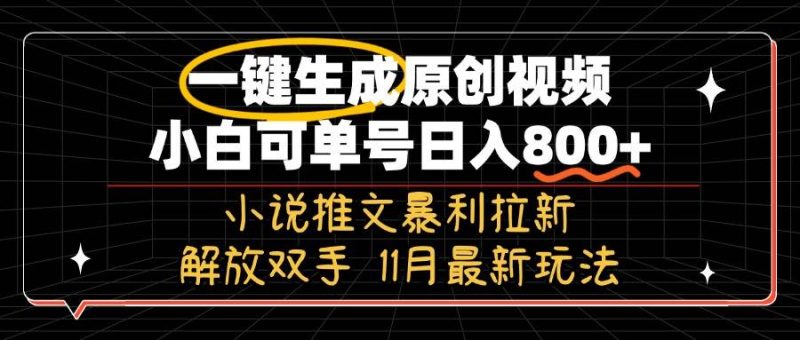 （13215期）11月最新玩法小说推文暴利拉新，一键生成原创视频，小白可单号日入800+…-网创资源库