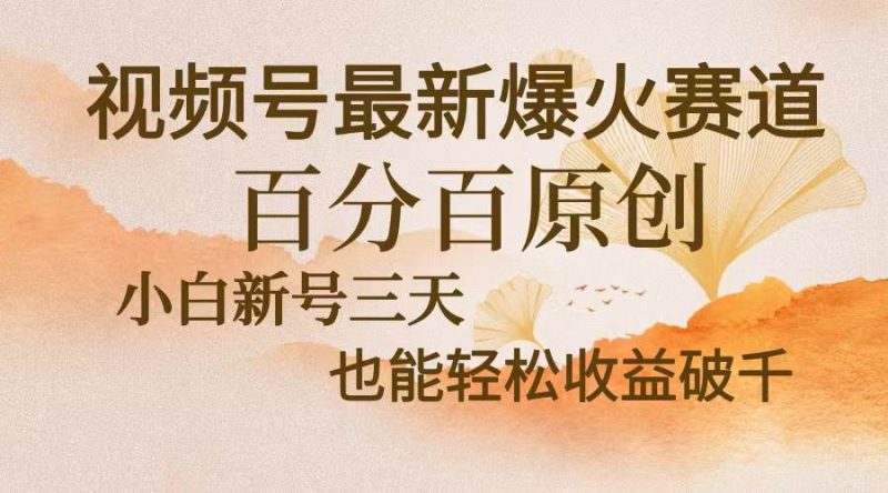 （13225期）视频号最新爆火赛道，中老年粉深信不疑，百分百原创，新号三天收益轻松…-网创资源库