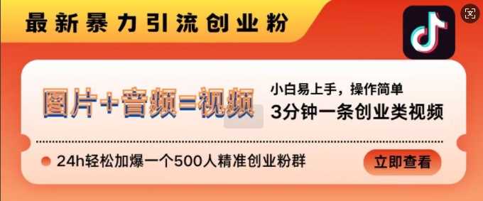 抖音最新暴力引流创业粉，3分钟一条创业类视频，24h轻松加爆一个500人精准创业粉群【揭秘】-网创资源库