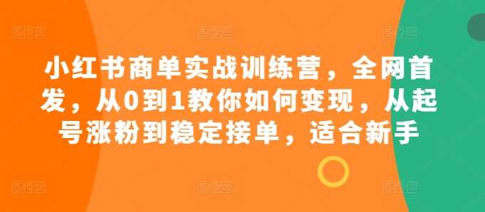 小红书商单实战训练营，全网首发，从0到1教你如何变现，从起号涨粉到稳定接单，适合新手-网创资源库
