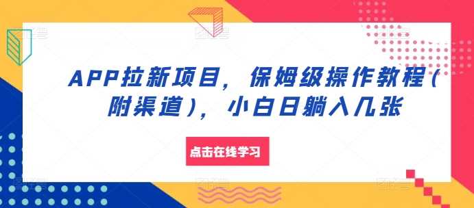 APP拉新项目，保姆级操作教程(附渠道)，小白日躺入几张【揭秘】-网创资源库