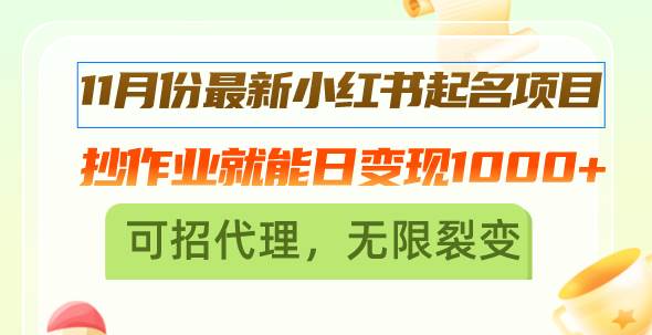 （13256期）11月份最新小红书起名项目，抄作业就能日变现1000+，可招代理，无限裂变-网创资源库