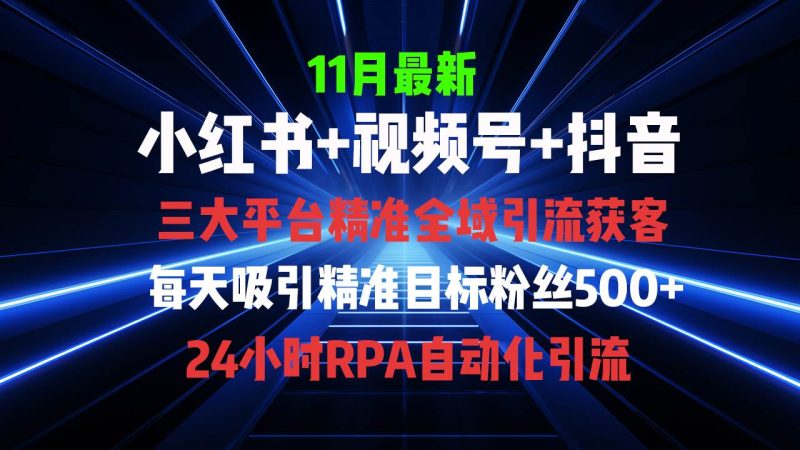 （13259期）全域多平台引流私域打法，小红书，视频号，抖音全自动获客，截流自…-网创资源库